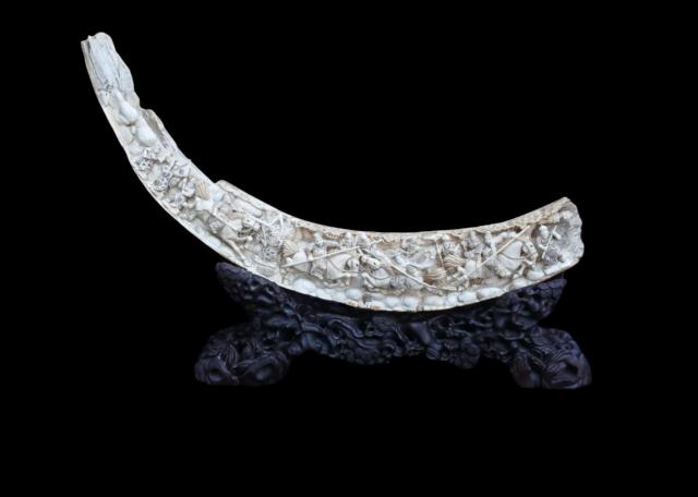 Carved woolly mammoth tusk